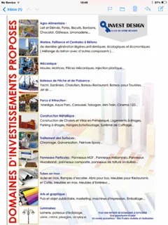 Consultant en investissement industriel