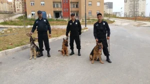 ENTREPRISE GARDIENNAGE, SURVEILLANCE, SECURITE