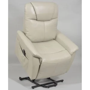 Fauteuil Releveur électrique Relaxant  véritable Cuir 2 moteurs
