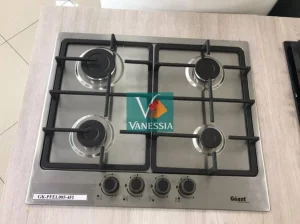 Plaque chauffante de la marque Géant : ✅ Garanti 24 mois