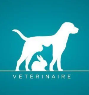 VÉTÉRINAIRE à Domicile
