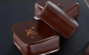 ENROBEUSE - TEMPEREUSE CHOCOLAT